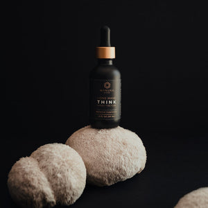 Hericium erinaceus tincture with mushrooms.
