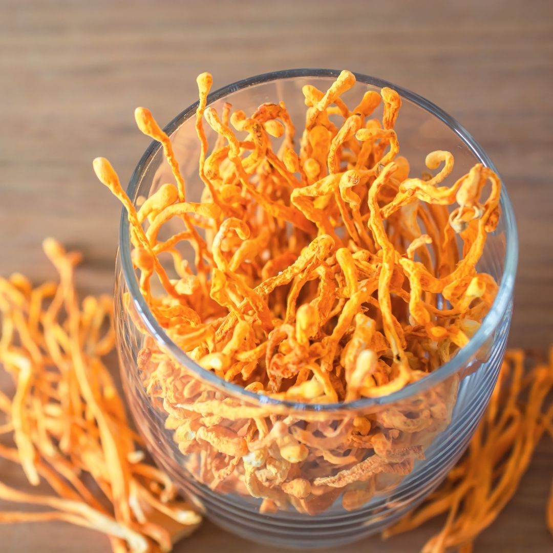 Cordyceps mushrooms are overflowing out of a glass cup.